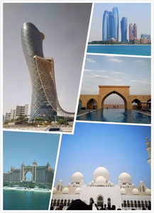 仲望咨询精英代表阿联酋峰会记实